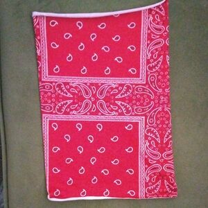 Red Paisley gaitor